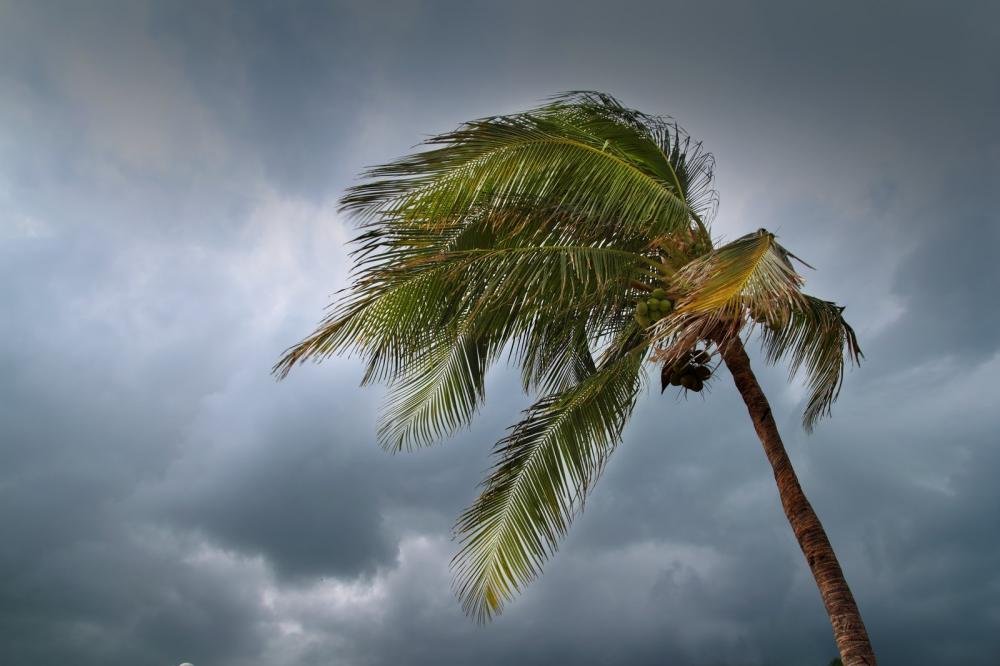 getting clean in a natural disaster